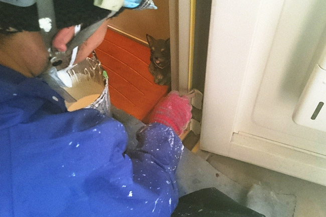 修繕・改装業務